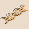 genealogy